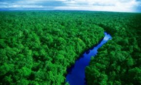 Amazônia legal preservada ou violada? | Por Dilmar Isidoro