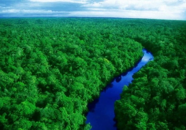 Amazônia legal preservada ou violada? | Por Dilmar Isidoro
