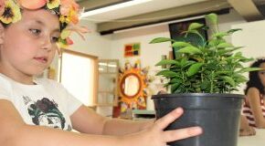 Casa de Cultura Mario Quintana divulga os oficineiros selecionados para Sapato Florido