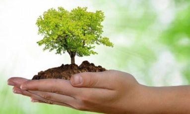 “ Políticas Públicas, Ambiente e Defesa Civil na Prevenção de Desastres” | Por Yeda Crusius