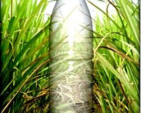 Plástico Verde: Agir para que o Amanhã seja Melhor | Por Yeda Crusius