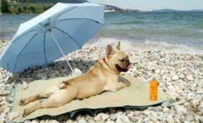 VERÃO DE POBRE | Por Zurba Fagundes