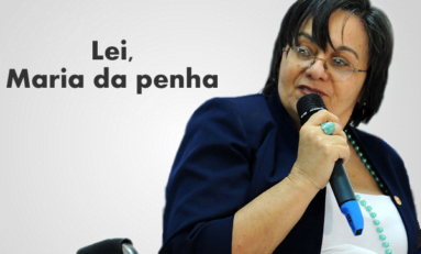 Em 07 de agosto, 11 anos da Lei Maria da Penha, muito a ser feito | Por Yeda Crusius