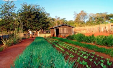 Reforma agrária: assentamentos legais e ocupações irregulares | Por Dilmar Isidoro