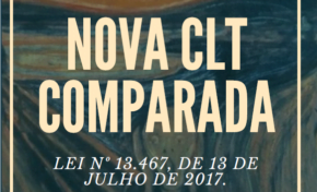 Estatuto do Trabalho: a nova CLT |  Senador Paulo Paim