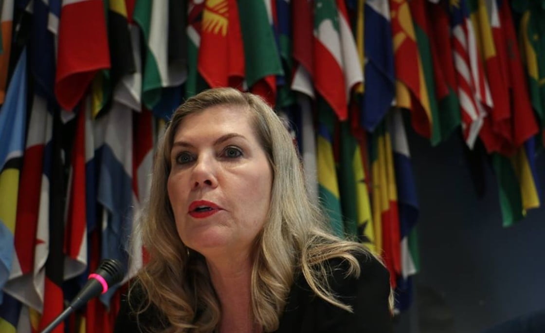 Brasileira é eleita presidente da Organização Internacional da Vinha e do Vinho (OIV)