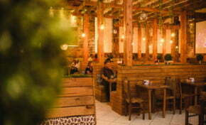 A rede de lanchonetes temáticas Mundo Animal abre as portas em Novo Hamburgo| Por Edith Auler