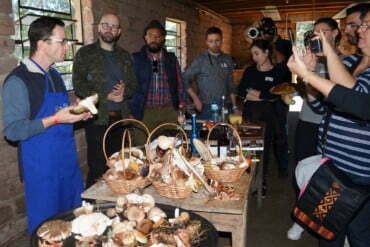 Grupo ensina turistas a 'caçar' cogumelos selvagens no interior do RS