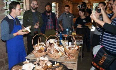 Grupo ensina turistas a 'caçar' cogumelos selvagens no interior do RS