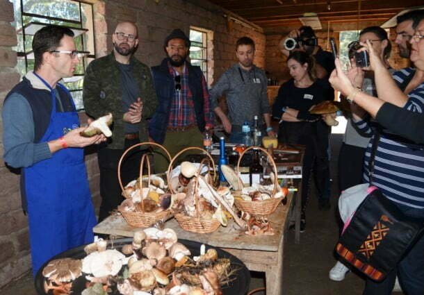Grupo ensina turistas a 'caçar' cogumelos selvagens no interior do RS