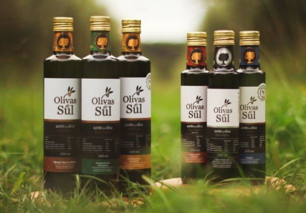 Azeite gaúcho é medalha de ouro em concurso realizado na Itália