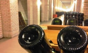 Cresce o mercado de vinhos e espumantes brasileiros