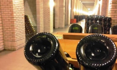 Cresce o mercado de vinhos e espumantes brasileiros