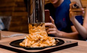 Lanchonete temática Mundo Animal inaugura em Gravataí dia 19 de dezembro