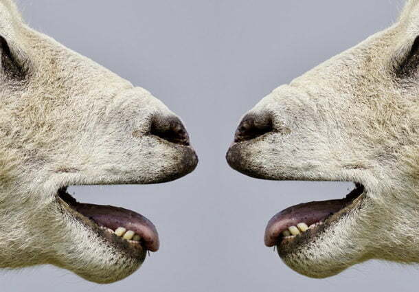 Comunicação interna: Precisamos nos comunicar sobre isto!