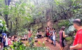 Fundação Iberê retoma atividades educativas na trilha ecológica