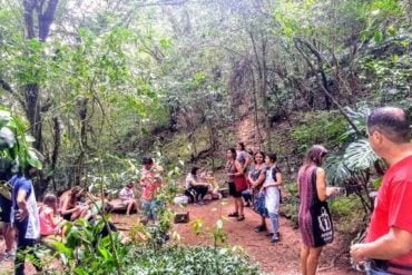 Fundação Iberê retoma atividades educativas na trilha ecológica