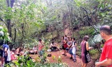 Fundação Iberê retoma atividades educativas na trilha ecológica