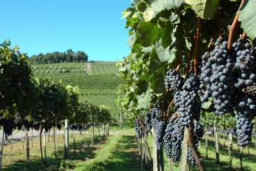 Bento Jazz & Wine Festival movimentará a Serra Gaúcha em março