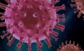 Os desafios do isolamento social