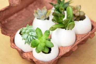 BarraShoppingSul foca em conteúdo interativo para promover bem-estar na quarentena