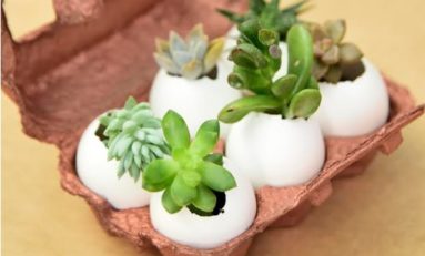 BarraShoppingSul foca em conteúdo interativo para promover bem-estar na quarentena