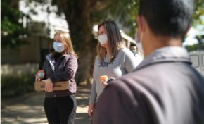 Novos hospitais são beneficiados com ação solidária da Bom Princípio Alimentos em maio de 2020