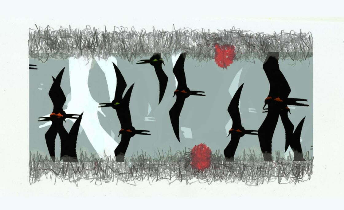 Plano de voo – uma exposição virtual