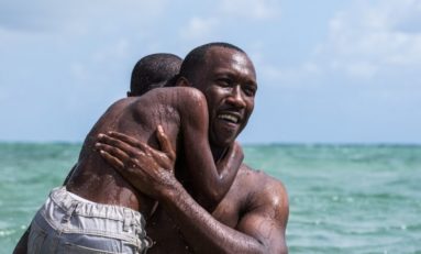 Lázaro Ramos fala sobre o longa-metragem Moonlight nesta quinta-feira em evento on-line e gratuito do projeto Meu Filme Favorito