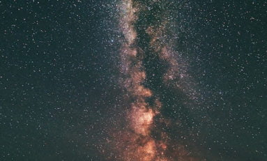 Especialistas debatem o futuro dos ambientes sociais, econômicos, éticos e jurídico-políticos em live do Instituto Ling na próxima segunda-feira, dia 6