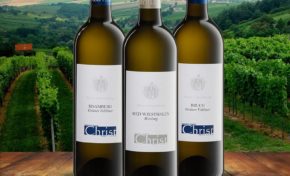 Vinhos da Áustria no Brasil