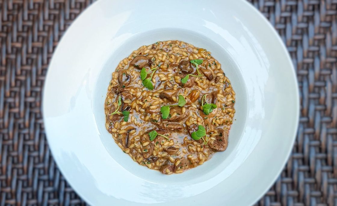 Risoto da Chef-se em prol da nova sede do projeto DNA