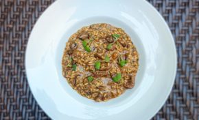 Risoto da Chef-se em prol da nova sede do projeto DNA