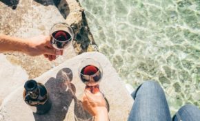 Vinhos para a Primavera