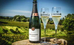 9ª edição da Grande Prova de Vinhos do Brasil reconhece rótulos da vinícola Don Giovanni   