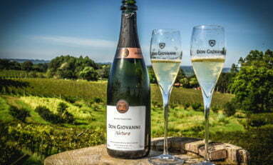 9ª edição da Grande Prova de Vinhos do Brasil reconhece rótulos da vinícola Don Giovanni   