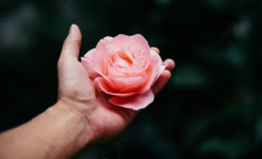 Instituto da Mama do RS desenvolve o núcleo de terapias integrativas