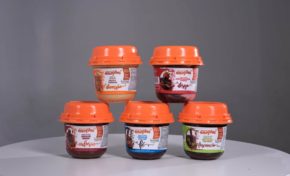 Sabores das Emoções da Bom Princípio Alimentos ganha cinco novos rótulos