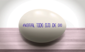 Projeto de arte-educação abre vagas para laboratório de montagem cênica exclusivo para travestis e transexuais