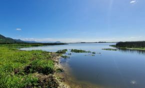 Com aquecimento da construção civil no Litoral Norte gaúcho 2day Consultoria prepara lançamentos de produtos imobiliários na região