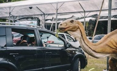 Jurassic Safari chega a Porto Alegre em maio