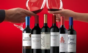 Dia Mundial do Malbec