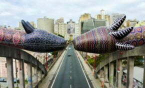 28º Porto Alegre em Cena ocorre de 19 a 31 de outubro em formato híbrido