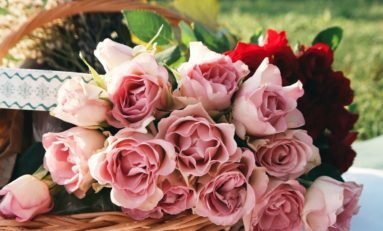 Aniversário de 28 anos do Imama RS será celebrado com jantar beneficente