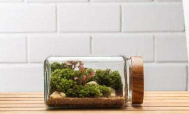 OPEN Feira de Design aquece a estação com edição de Inverno neste sábado, no Viva Open Mall