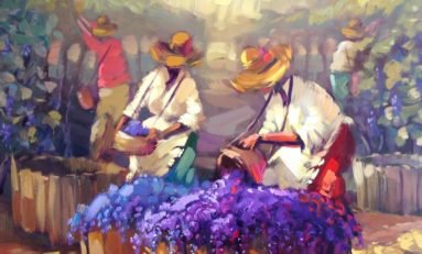 Exposição celebra os 25 anos de Gravura Galeria de Arte