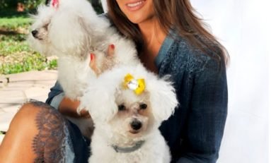 Lisette Guerra realiza exposição com foco na conscientização de bons tratos aos animais no Cais Embarcadero