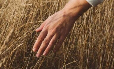 Marcelo Behn Ministra Curso de Hipnose e Regressão