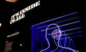 Aula gratuita sobre criatividade e neurociência