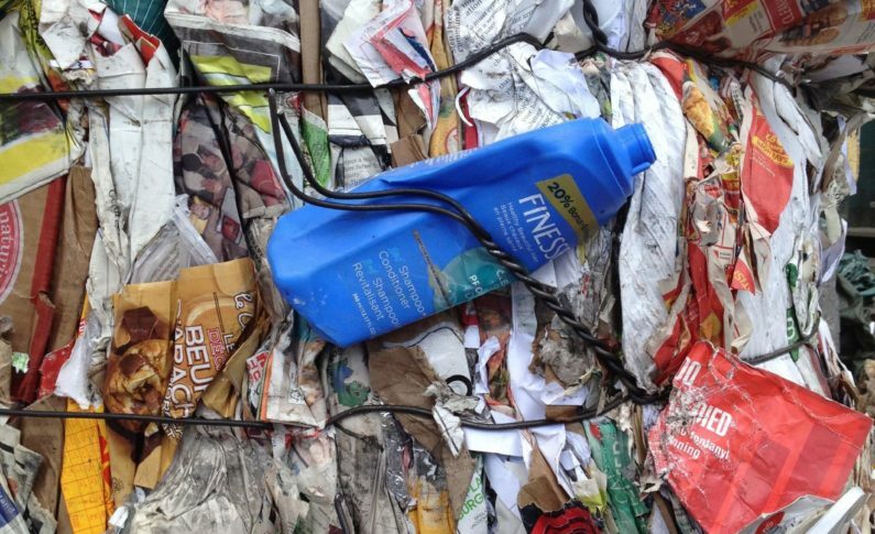 Recolhimento de resíduo reciclável quase dobra nos primeiros seis meses do ano